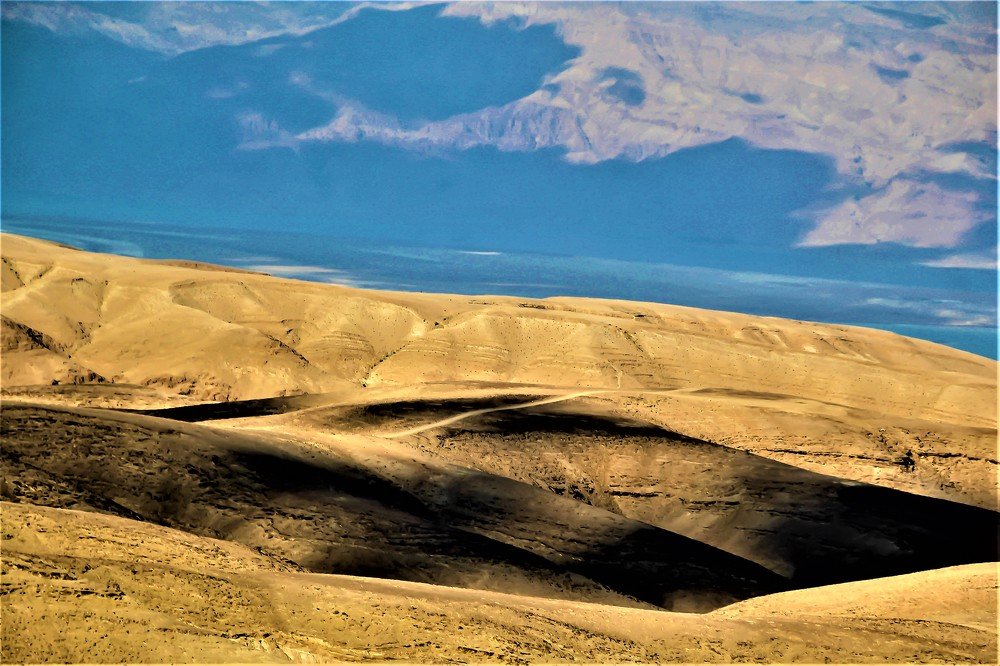 The wonder of the desert nature