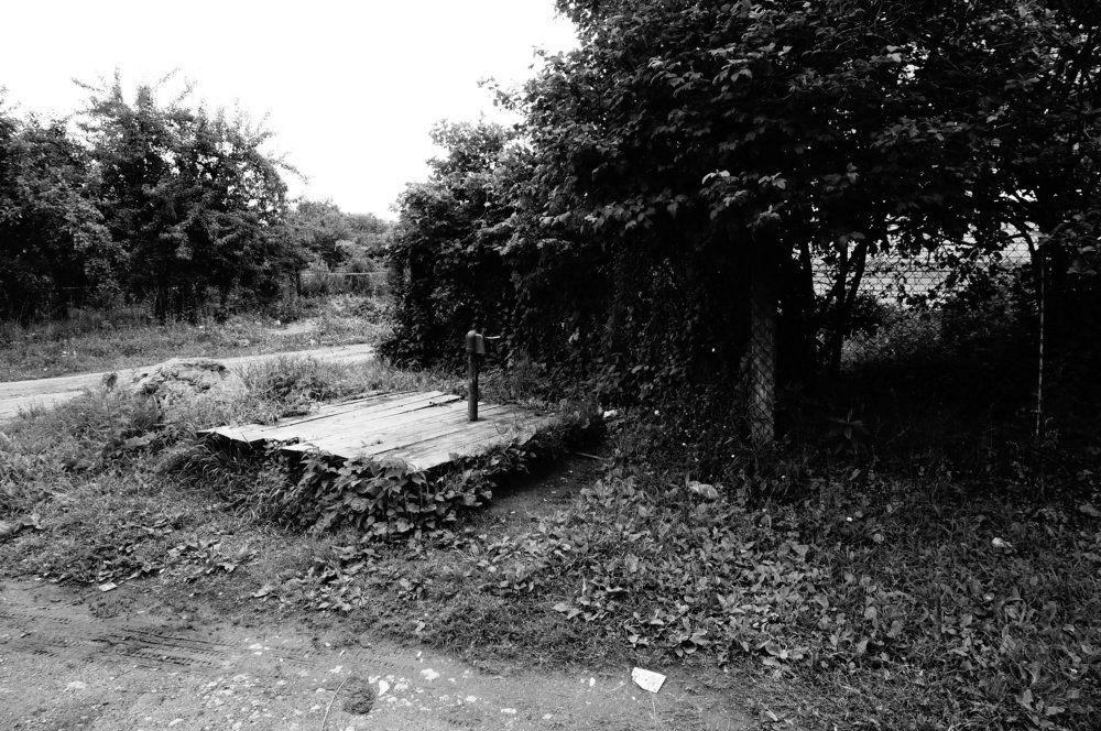 старые ограды