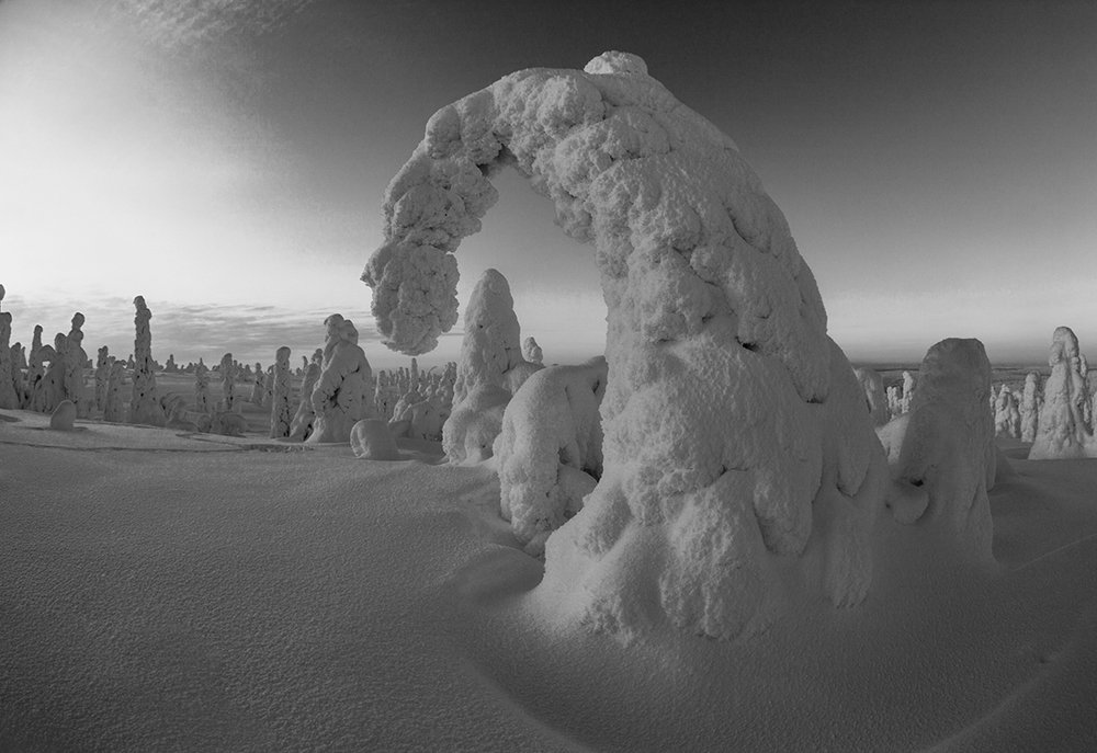 Стражи зимы