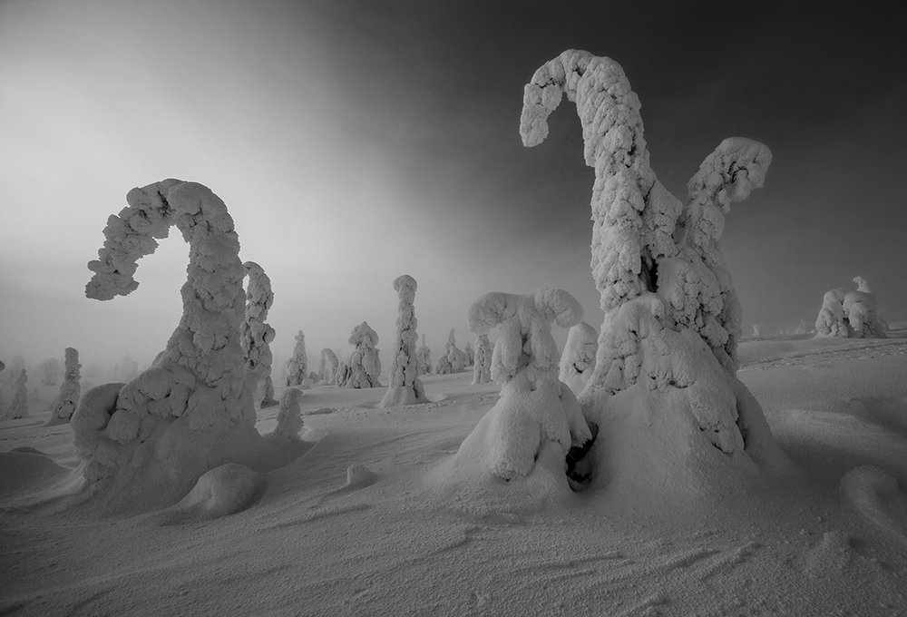 Долина драконов