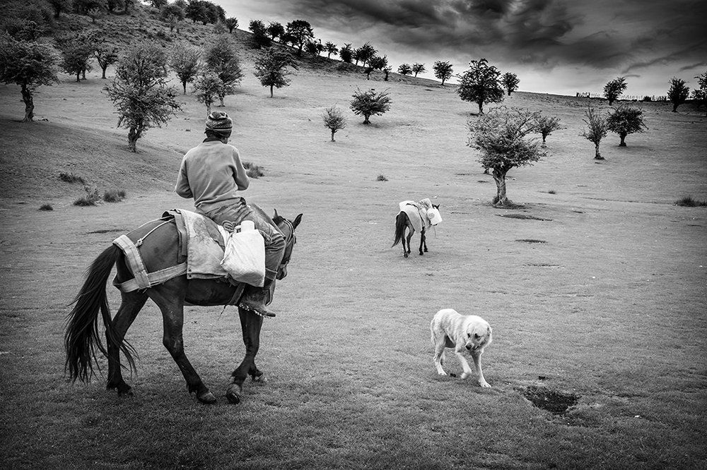 In to the wild nature