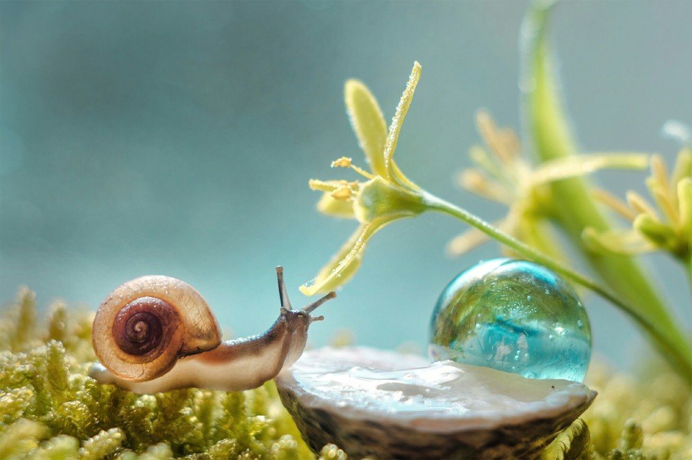 Photograph by Аксана Чалова