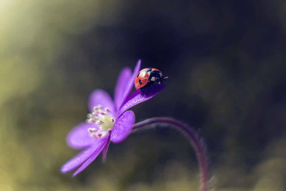 Photograph by Аксана Чалова