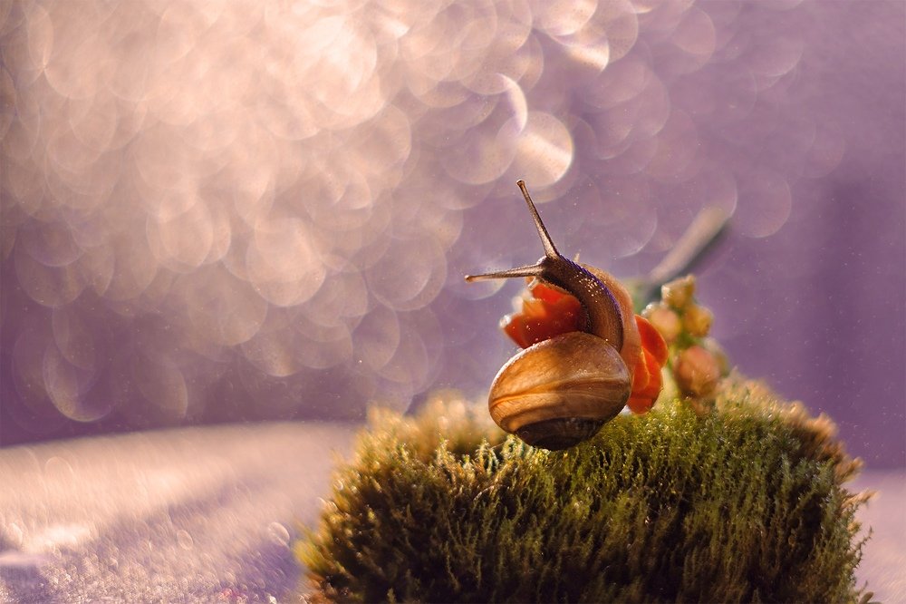 Photograph by Аксана Чалова