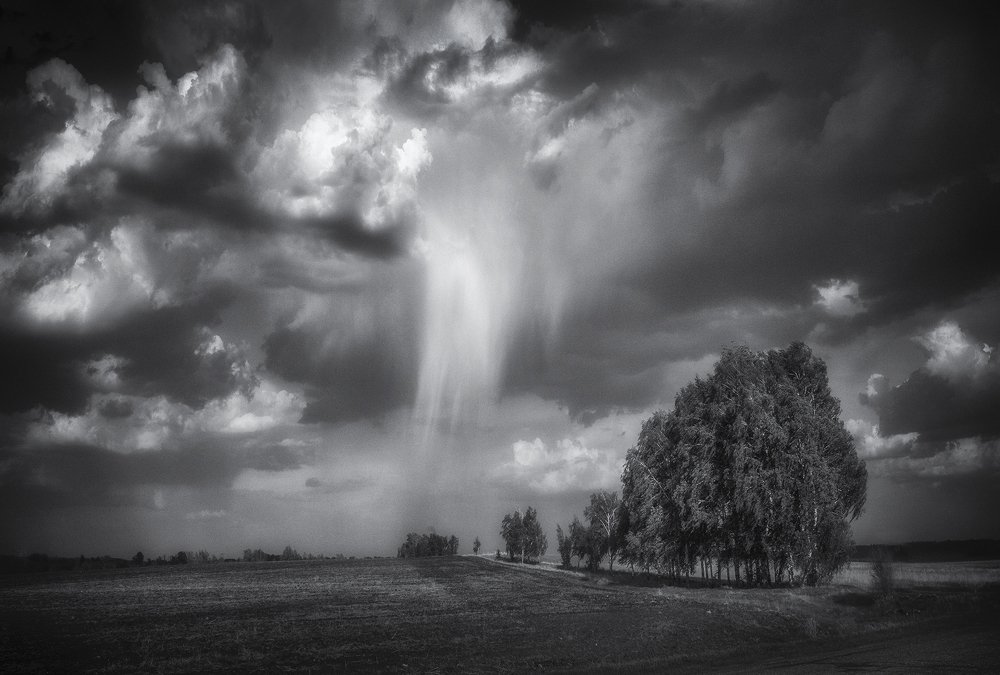 Перед грозой