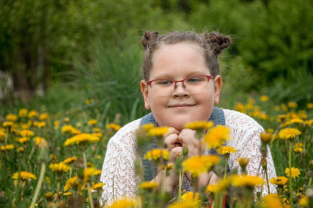 dandelions