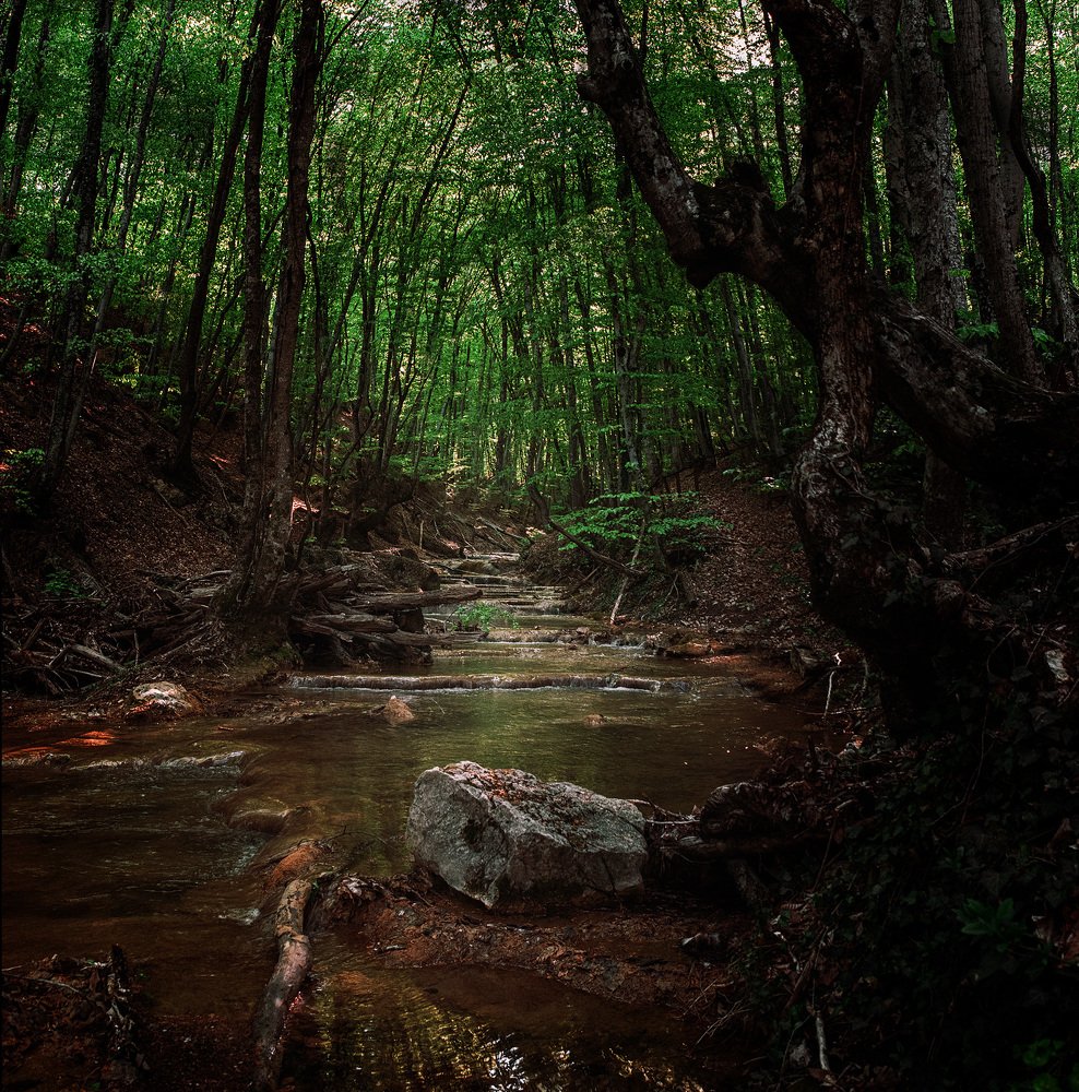 Река Сары-Узень