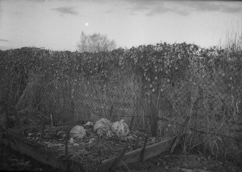 вечер одного дня