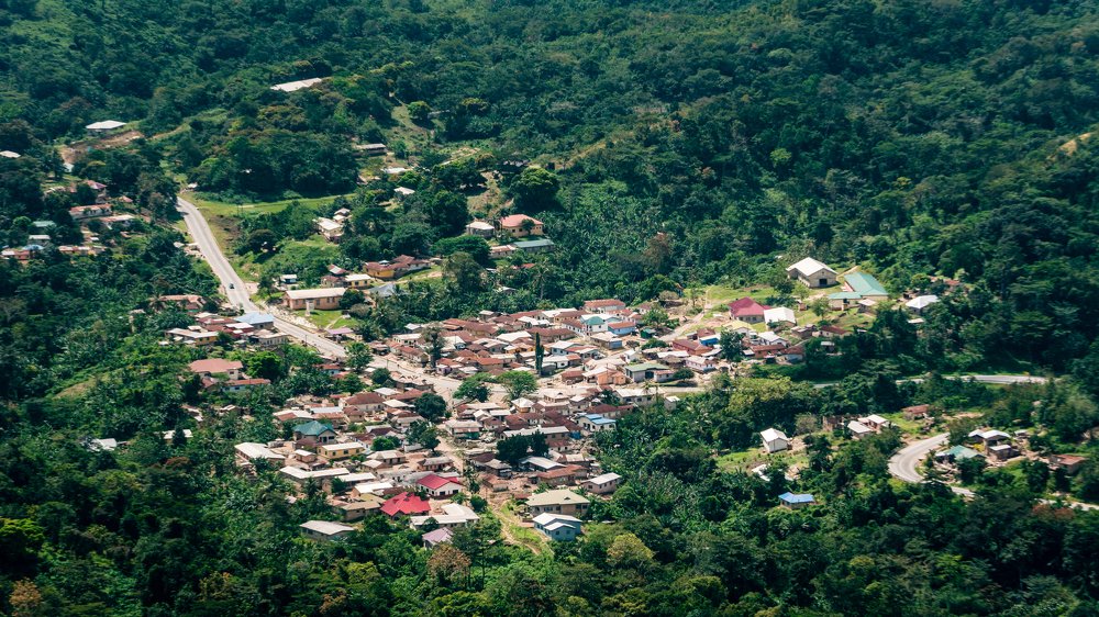 View of fume community
