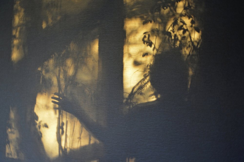 Там. За окном.