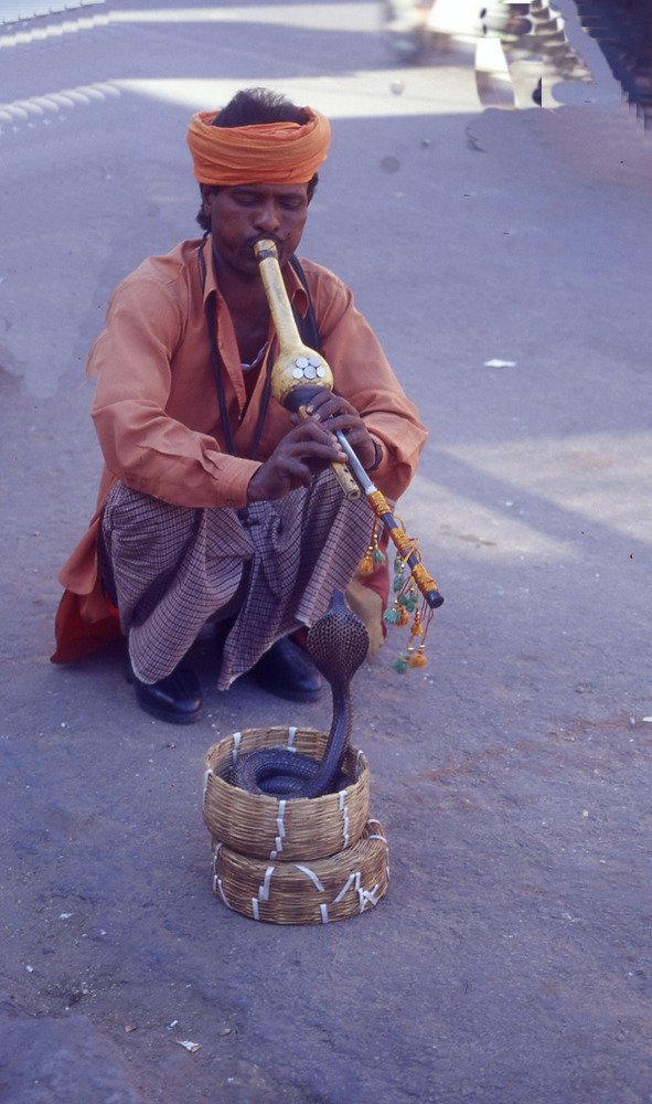 the player and the snake