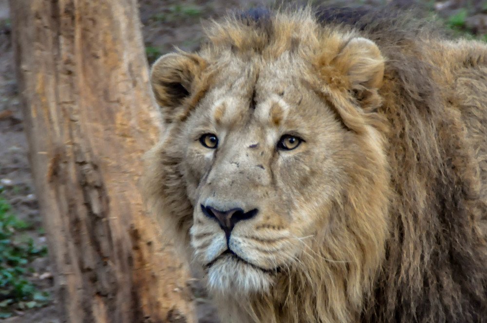 Photograph by Zsuzsa Décsi