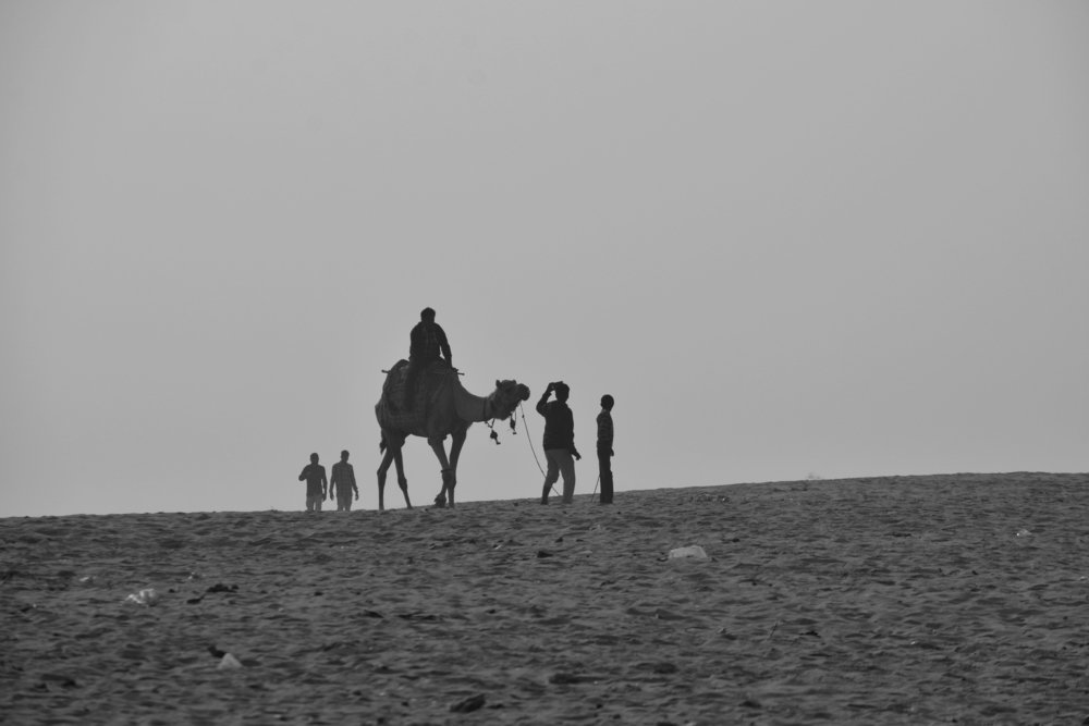 Journey in the Desert