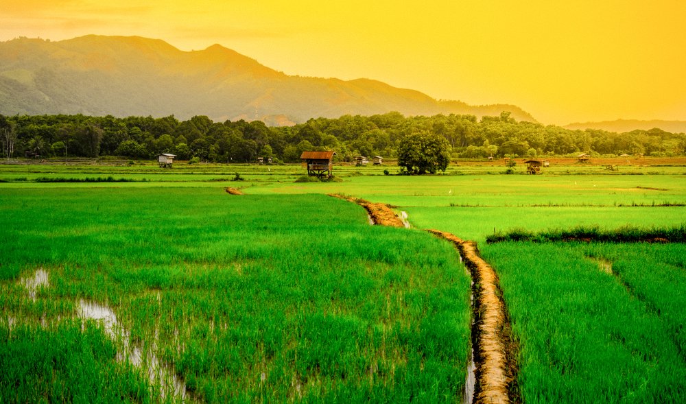 The beginning of life