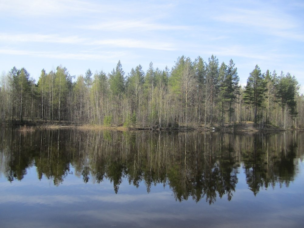 Photograph by Anna Makogonova