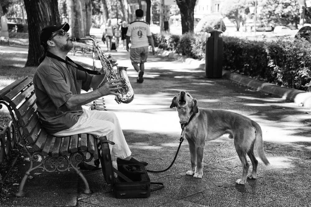 Музыка в сердце.