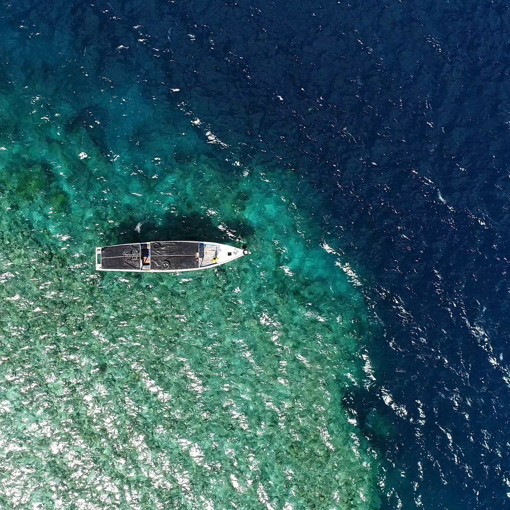 У края рифа