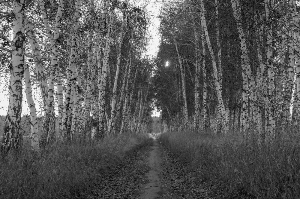 Обратный путь