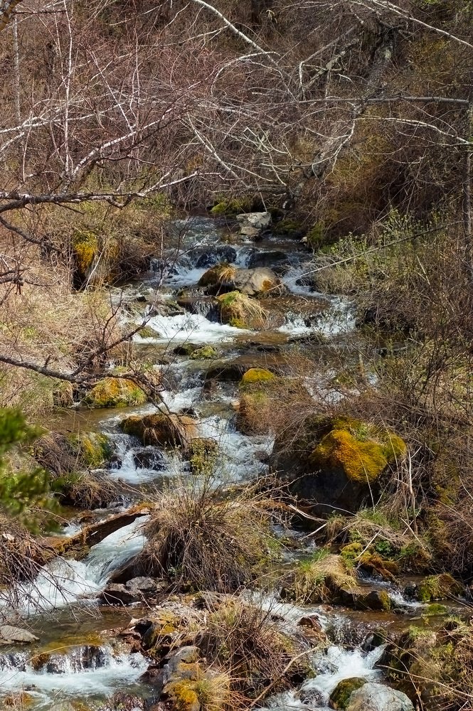 Бельтертуюк