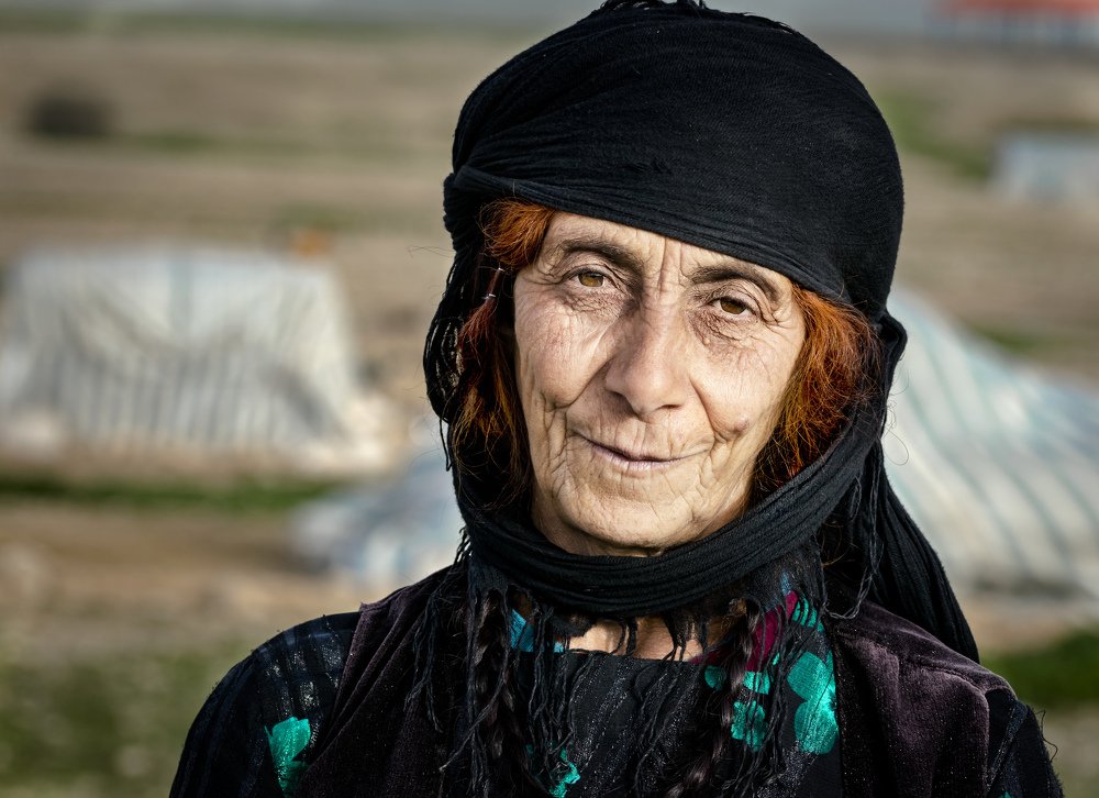 Фотография автора ziba alirezaei58