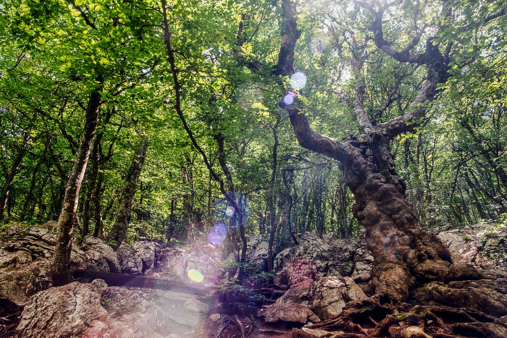 Photograph by Игорь Мозель
