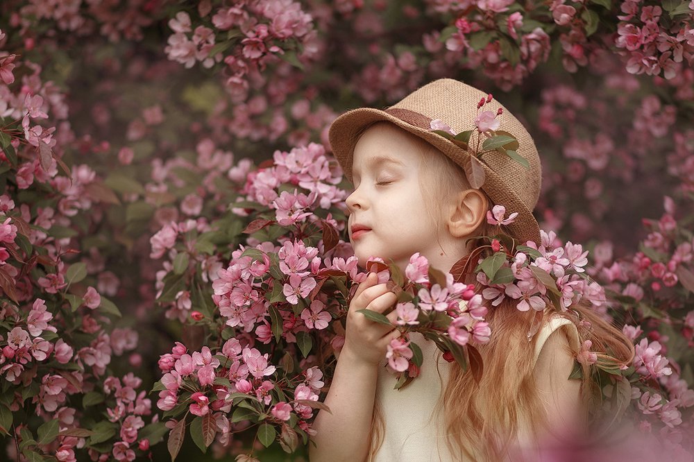 Розовые мечты