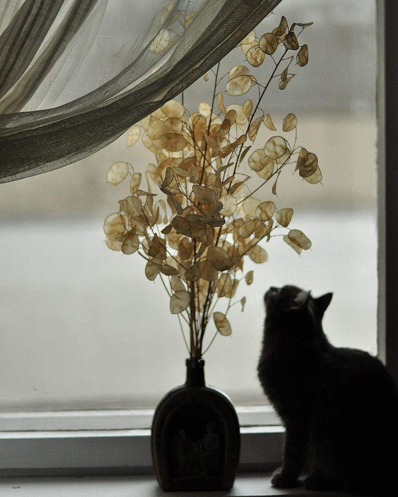 Photograph by Виктория