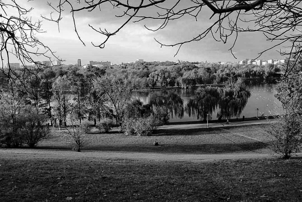 Park