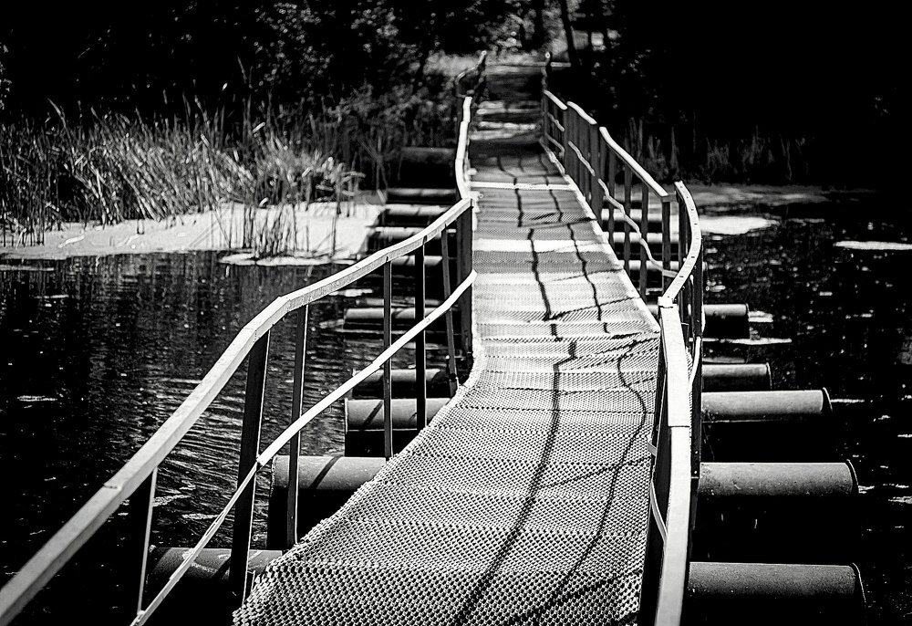 Bridge in the summer