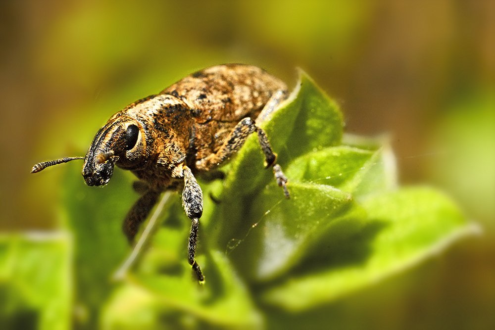 Фотография автора Игорь Иванов