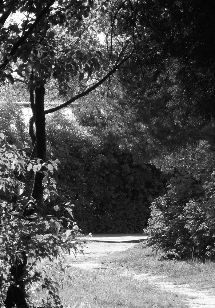 Солнечное местечко