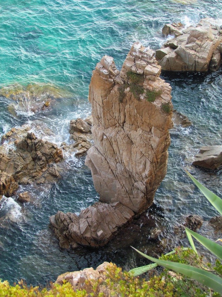 Photograph by Елена