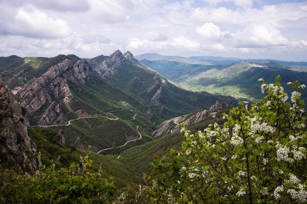 Photograph by Людмила