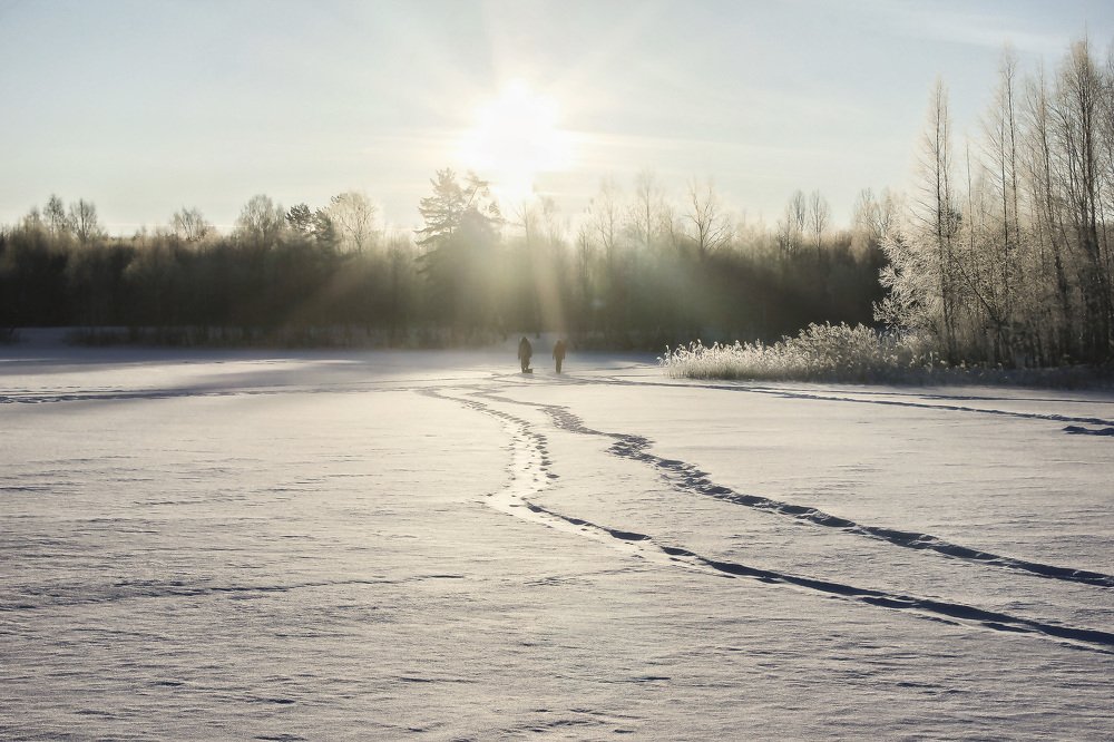 утро на озере