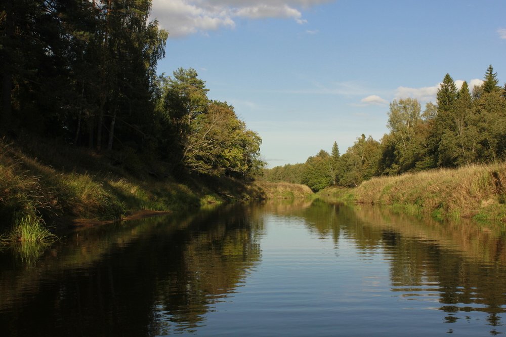 на реке Мологе