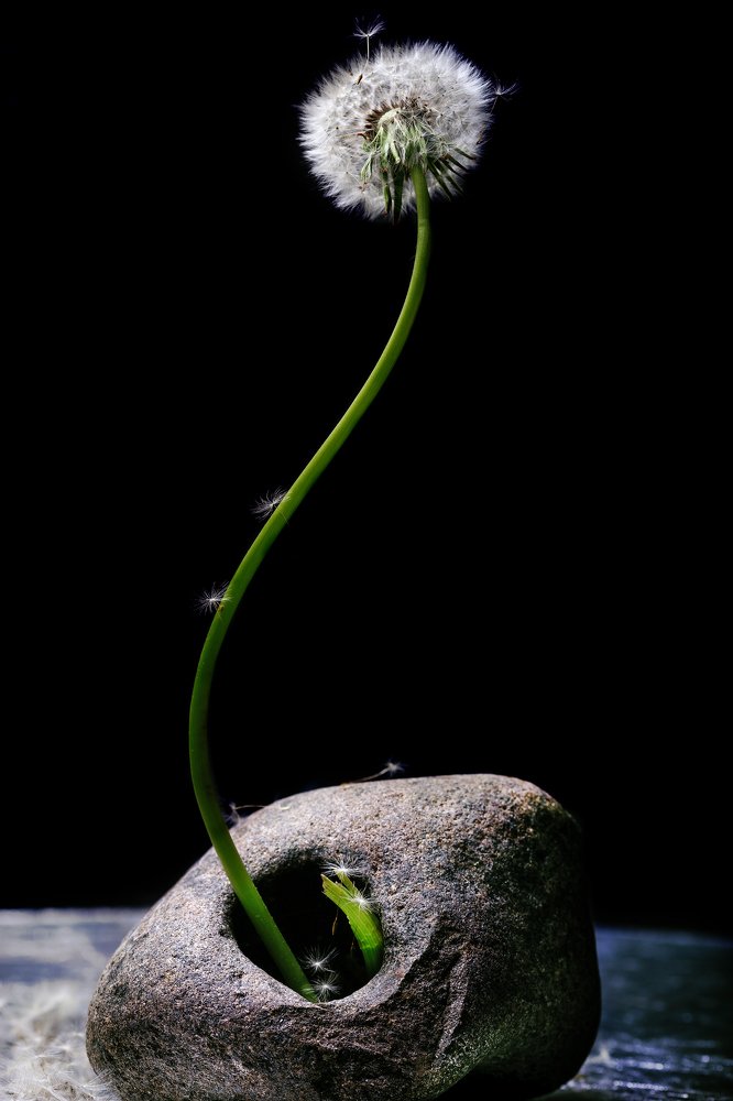 завораживающая легкость