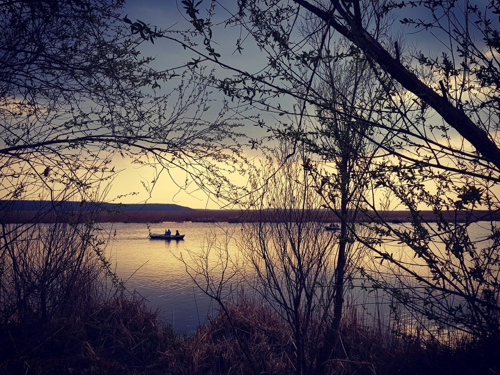 In the light of sunset