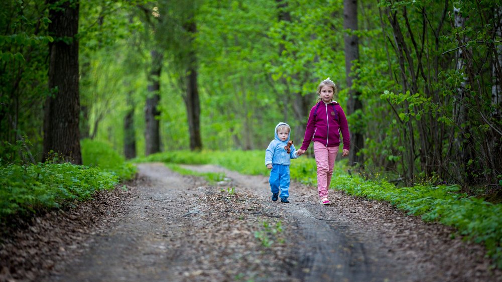 долгая дорога