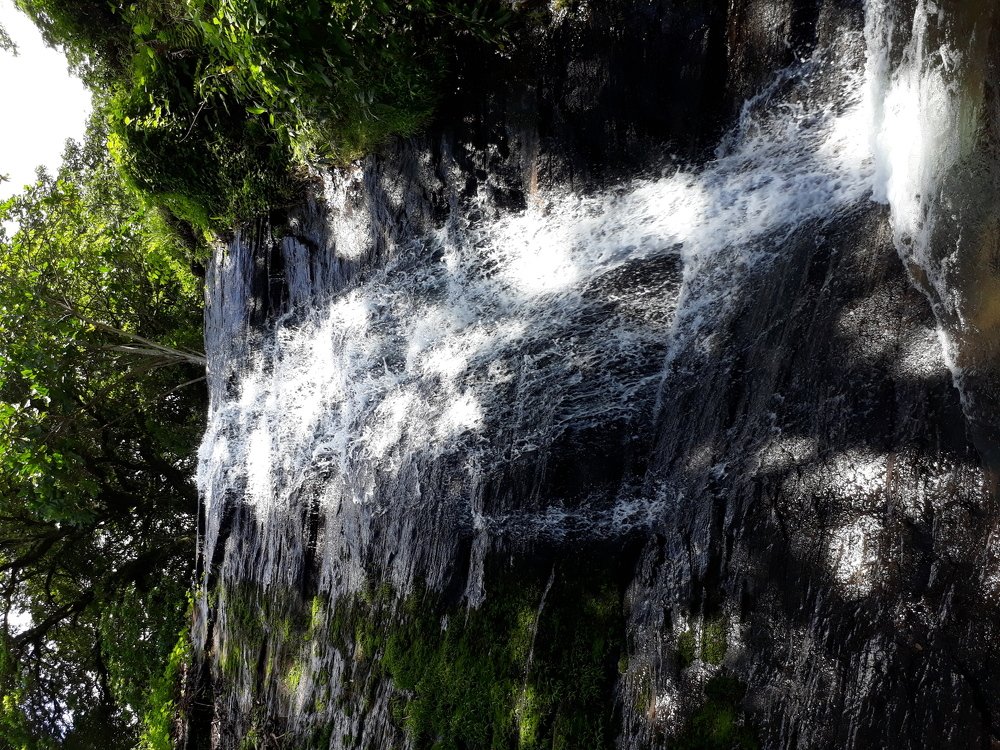 Photograph by Darsh