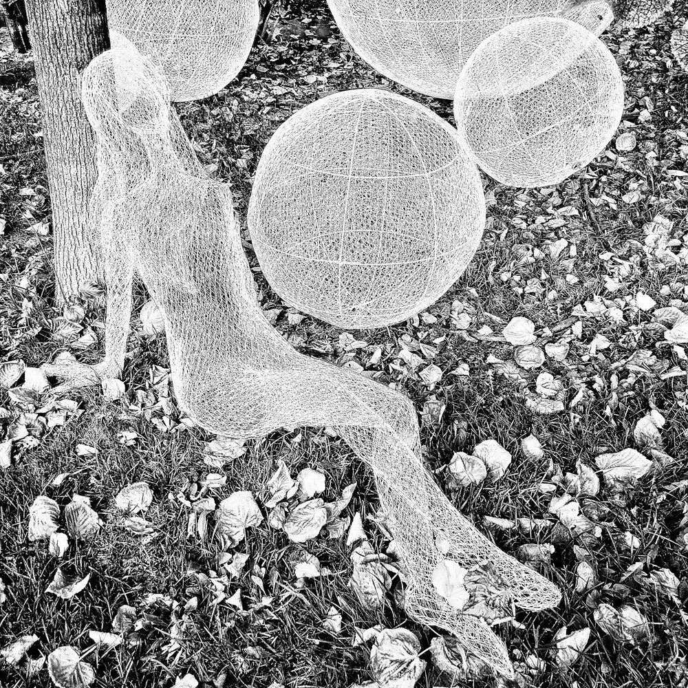 Photograph by Василий Чекорин