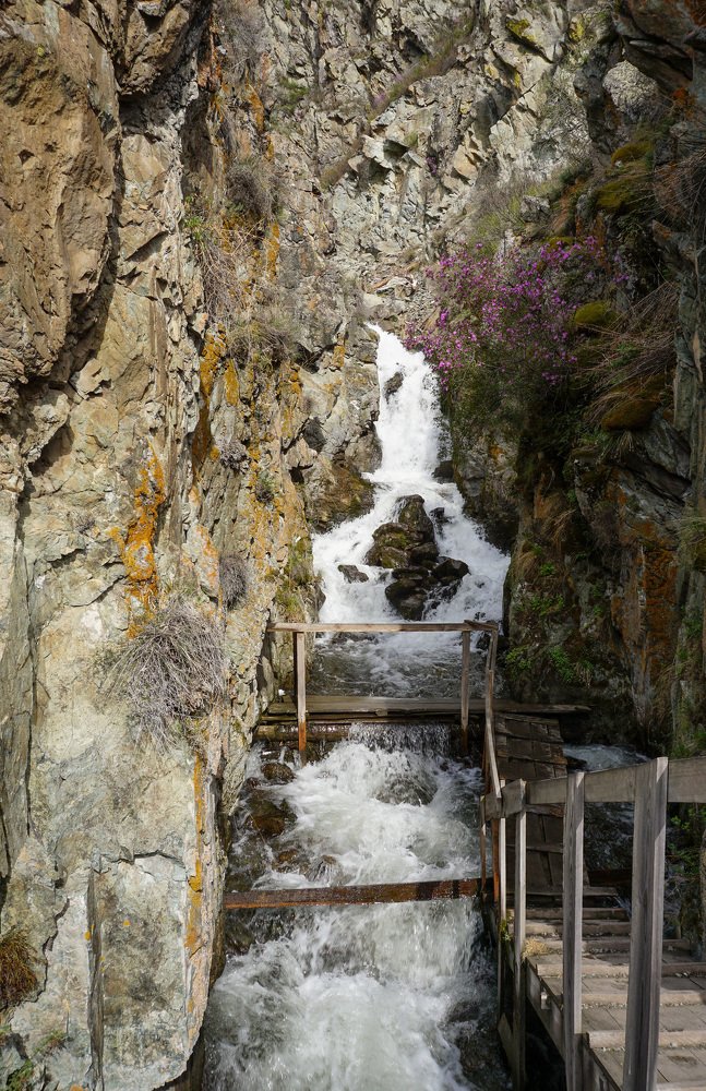 Бельтертуюк