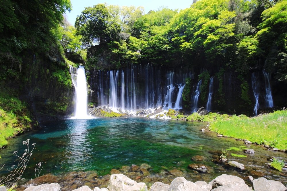 The sounds of nature