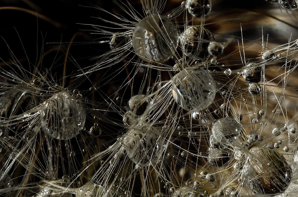 космическая одиссея 2019