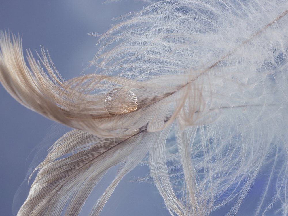 Колыбель для капельки