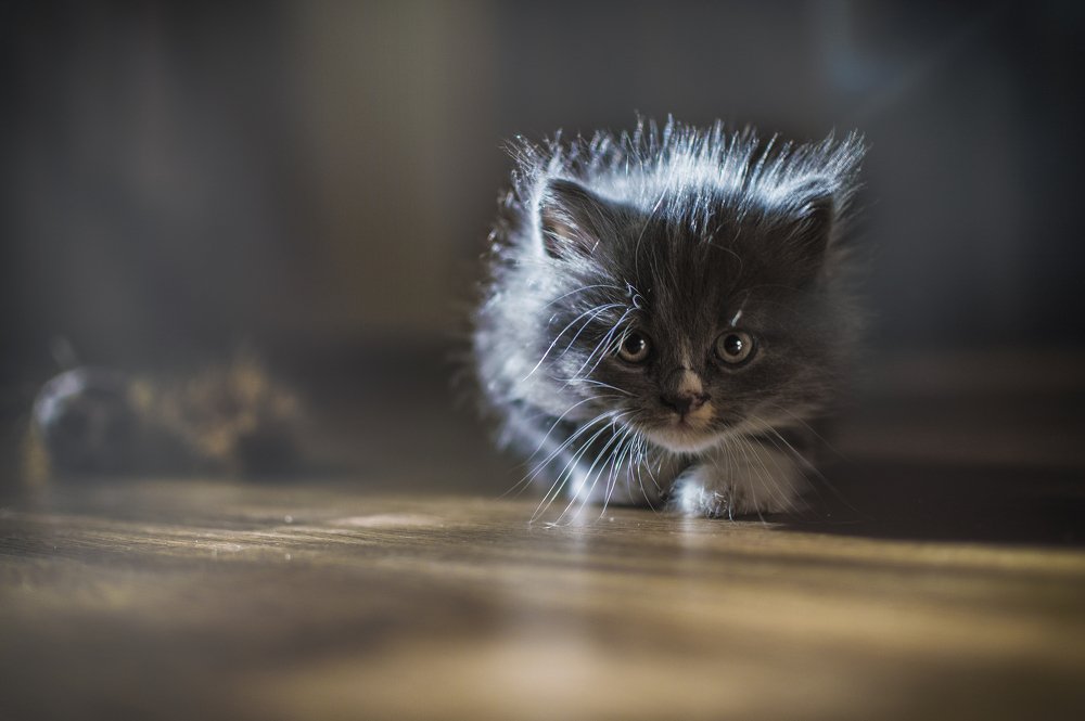 Photograph by Сигидова Ирина