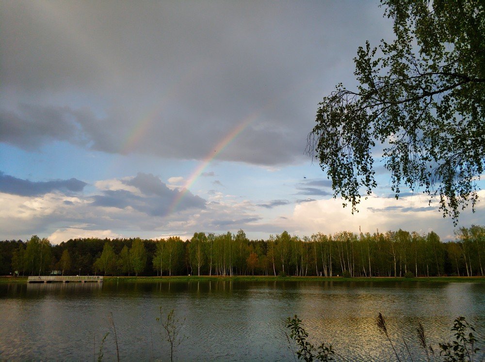 Радуга над лесом