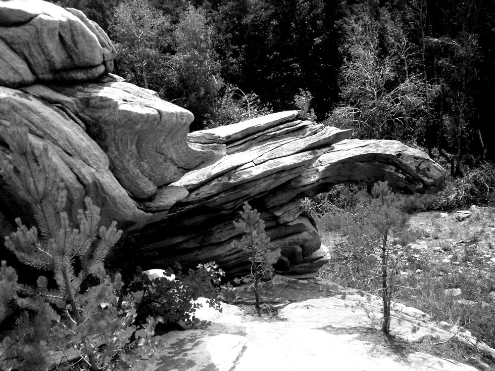 Photograph by Ольга Мокрова