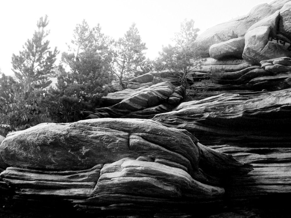 Photograph by Ольга Мокрова