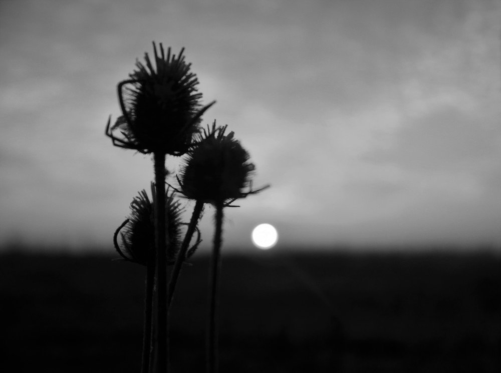 Photograph by Юрий Дыхлин