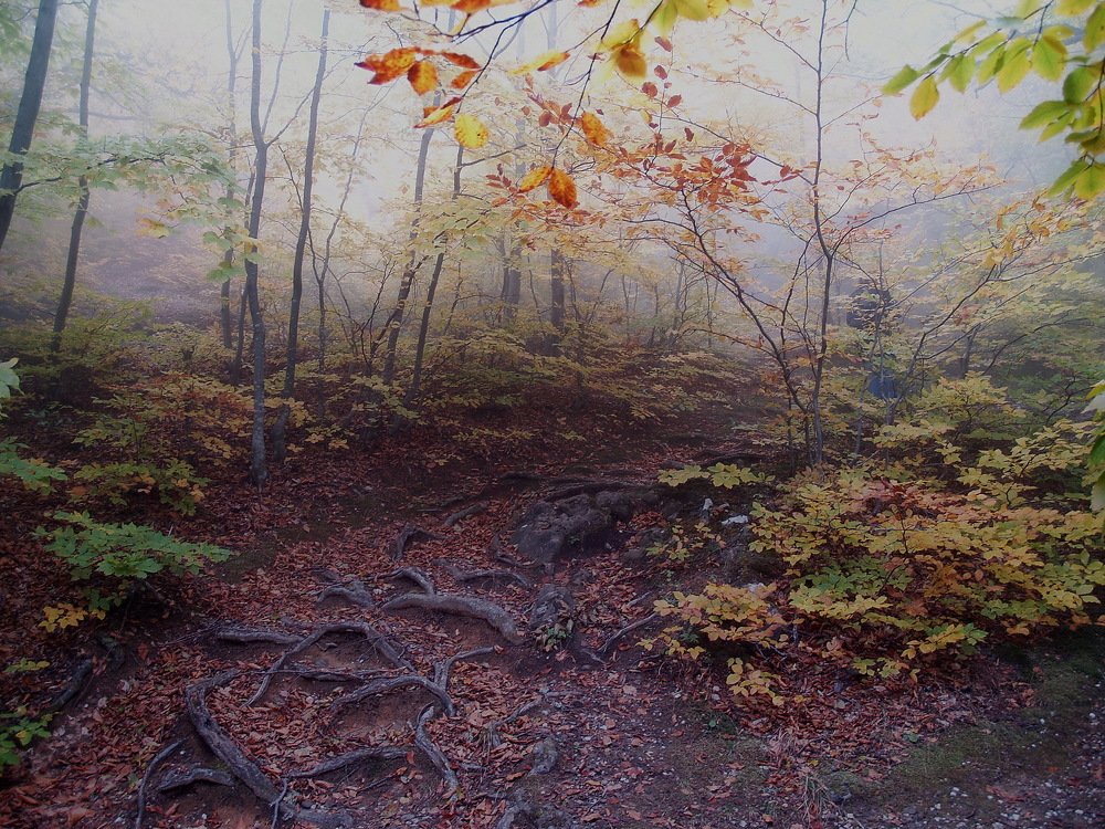 Крымская осень.